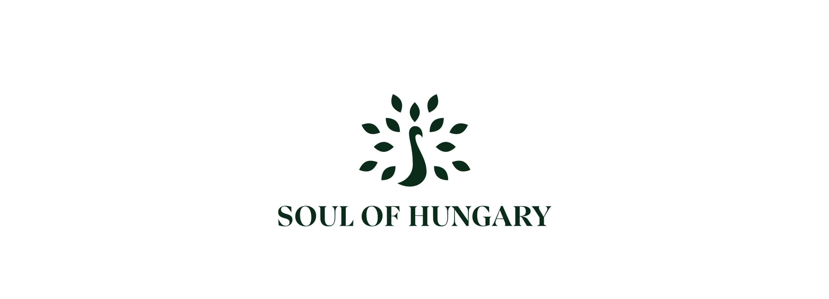 Hölgyeim és uraim, figyelem! Bemutatkozik a Soul of Hungary