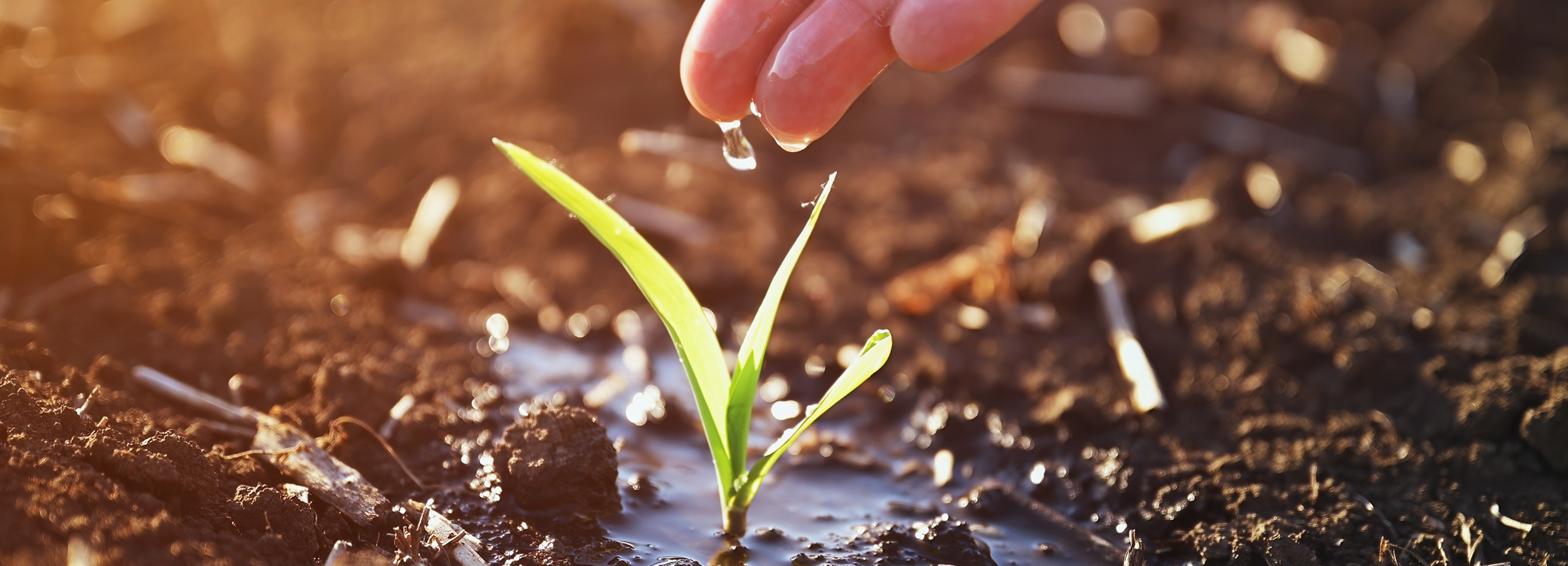 Hungary helps in drought prevention in Central Asia